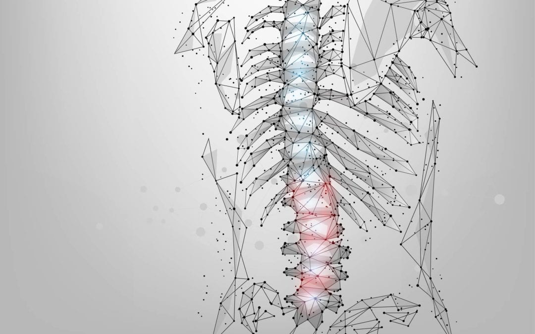 IS IT TIME TO HAVE A SPINE SPECIALIST EVALUATE YOUR BACK PAIN?