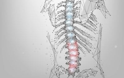 IS IT TIME TO HAVE A SPINE SPECIALIST EVALUATE YOUR BACK PAIN?