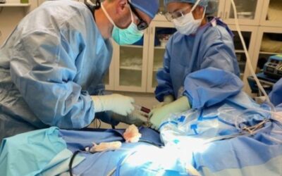 Dr. Johannesmeyer Performs The First BEAR Implant ACL Repair in SC